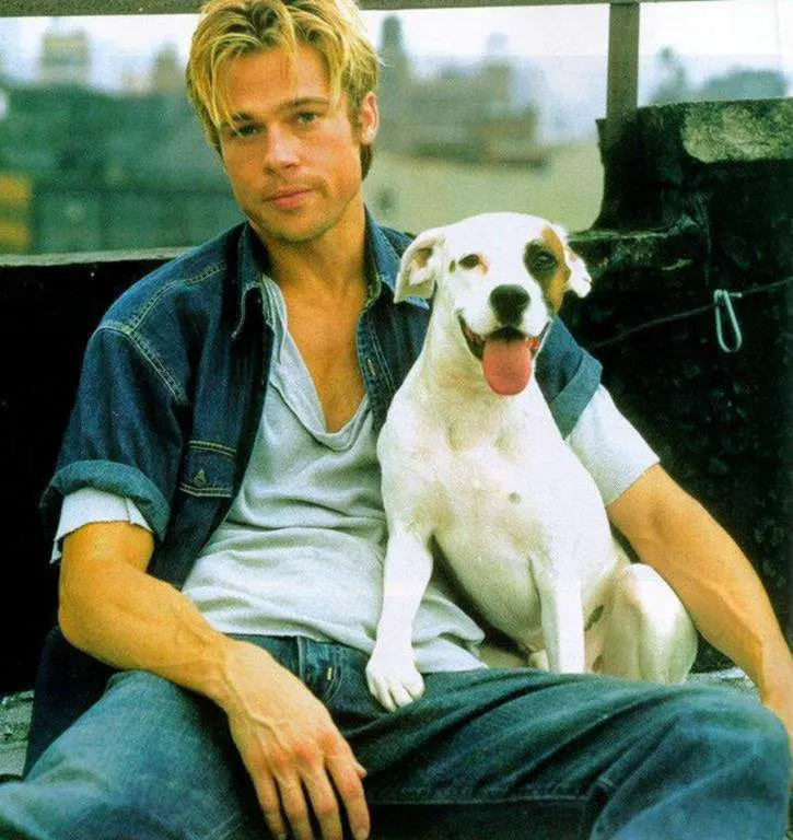 Brad Pitt sitting on the chair with his Pit Bull dog