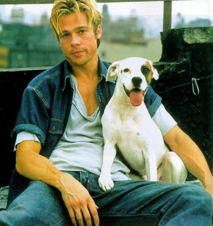 Brad Pitt sitting on the chair with his Pit Bull dog