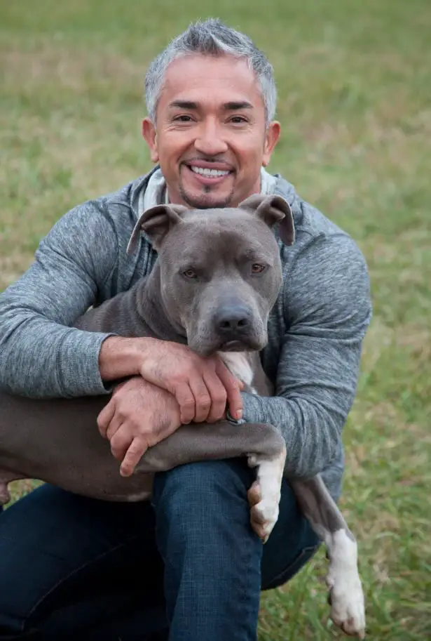 Cesar Millan on the grass with a Pit Bull on his lap