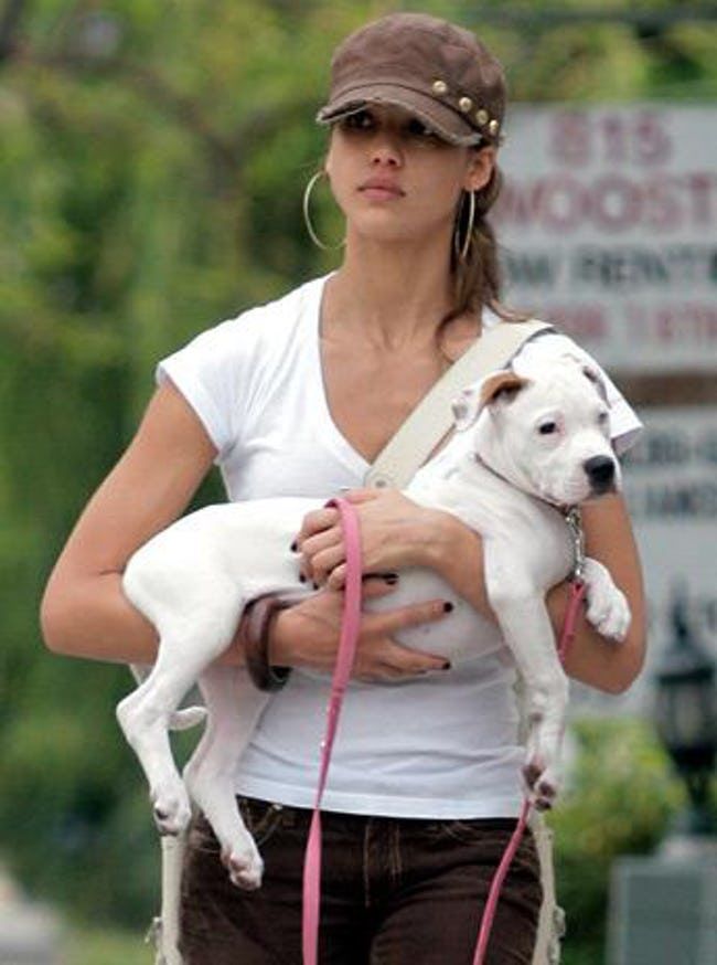 Jessica Alba carrying her Pit Bull puppy