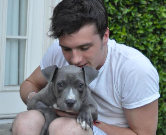 Josh Hutcherson with a Pit Bull puppy in his lap