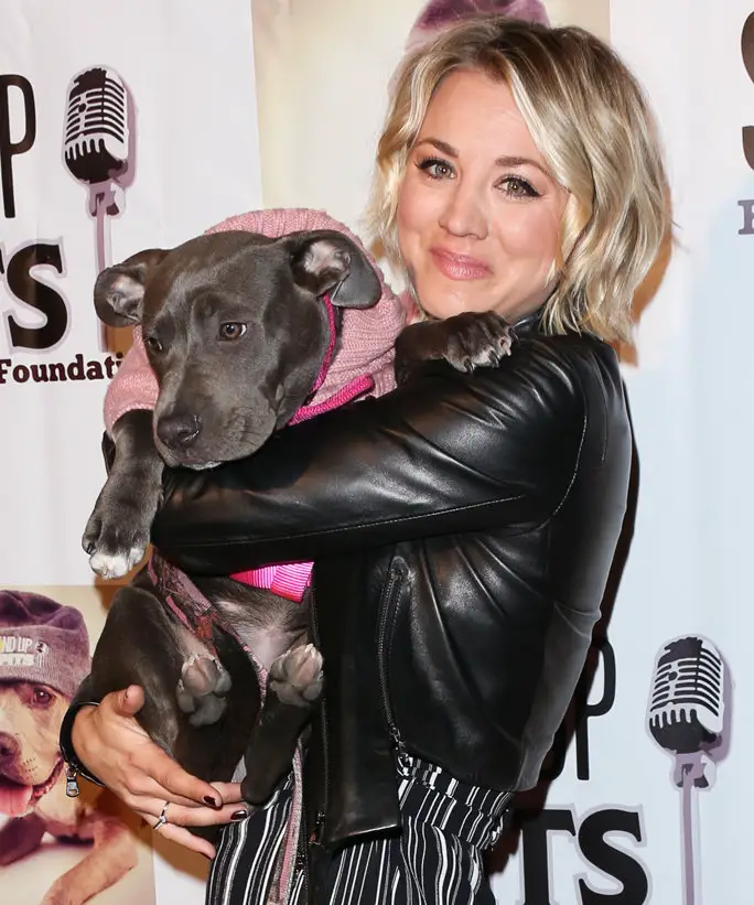Kaley Cuoco carrying its Pit Bull dog