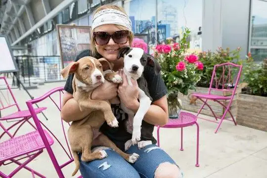 Miranda Lambert carrying its two Pit Bull puppies in her lap