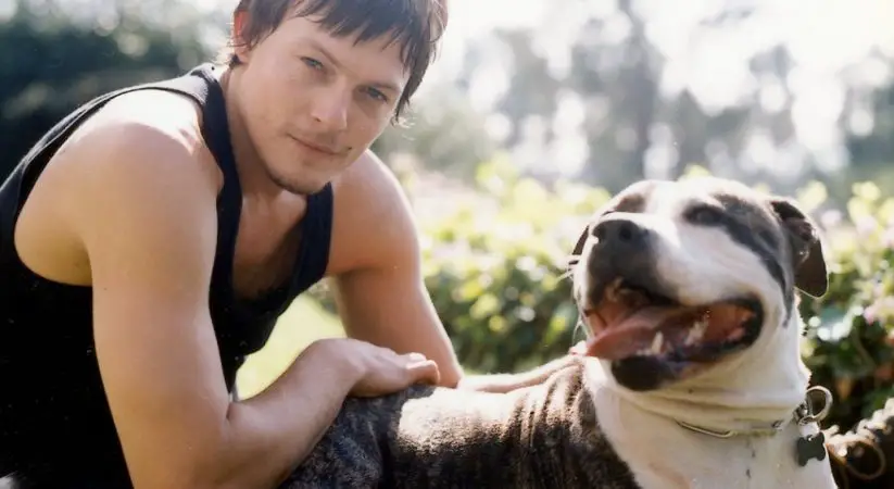 Norman Reedus with its Pit Bull