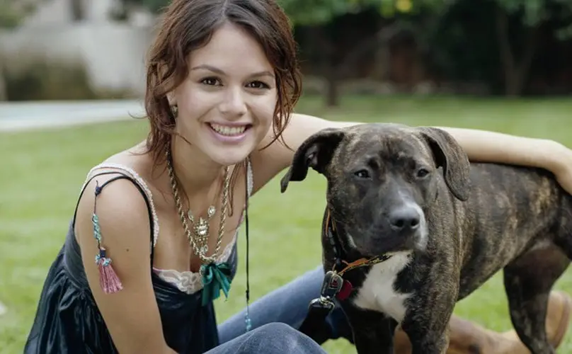Rachel Bilson sitting on the green grass with its Pit Bull