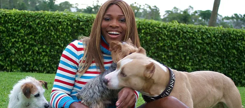 Serena Williams sitting on the grass with her Pit Bull