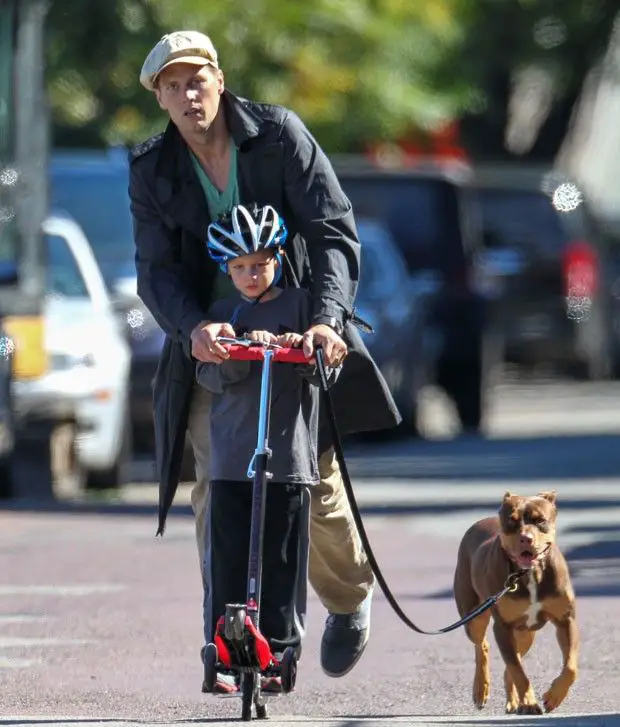 Tom Brady in scooter while taking its Pit Bull for run