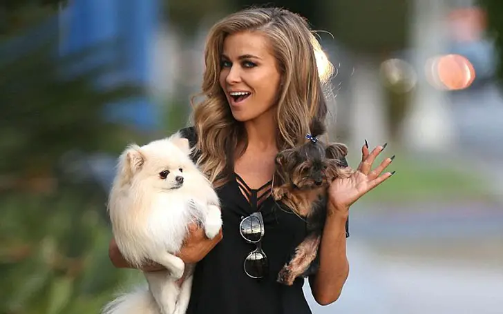 Carmen Electra in the street while carrying her Pomeranian and her Yorkie