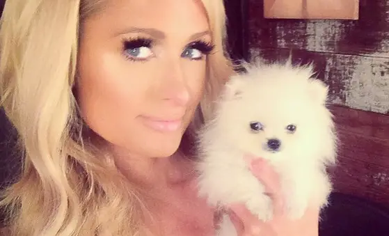 Paris Hilton taking a selfie with her white Pomeranian puppy