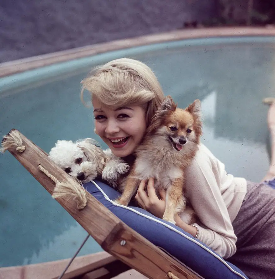 Sandra Dee lying on the lounge chair by the pool while hugging her Pomeranian and Poodle