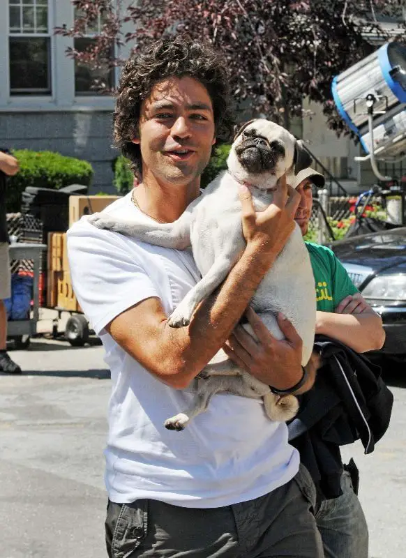 Adrian Grenier carrying his Pug in the street
