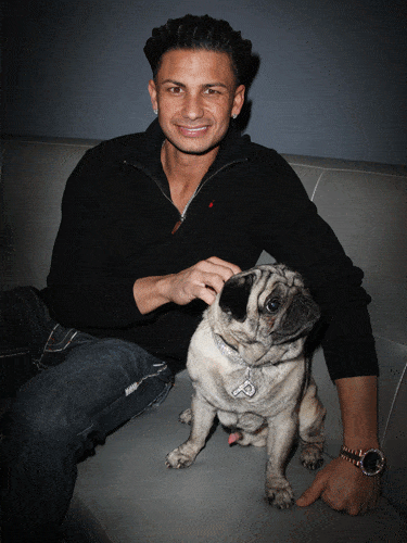 DJ Pauly D sitting on the couch next to his Pug