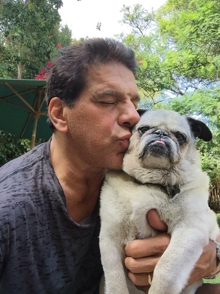 Lou Ferrigno kissing a pug on the cheeks
