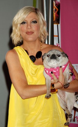 Tori Spelling carrying her Pug