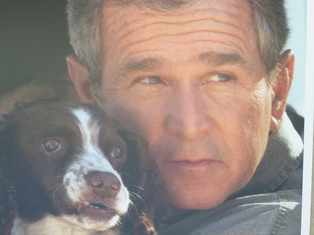 President Bush with his Springer Spaniel dog