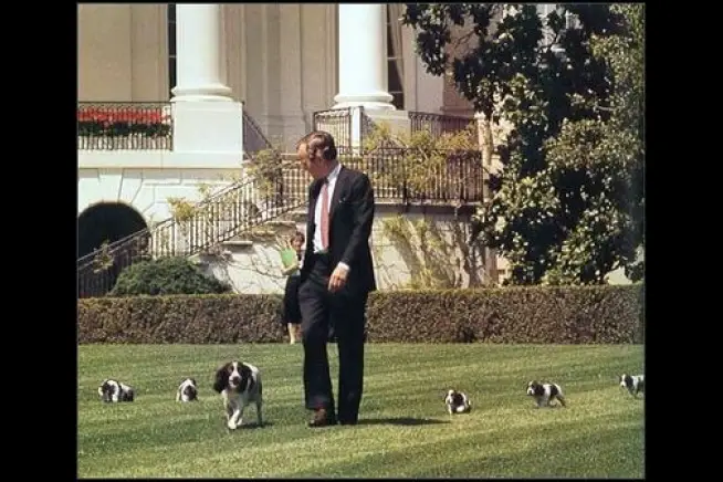 President Bush in the lawn with his Springer Spaniel
