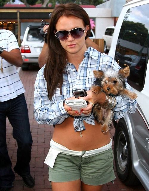 Britney Spears in the parking lot carrying her Yorkie
