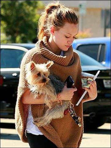 Hilary Duff carrying her Yorkie in her arms