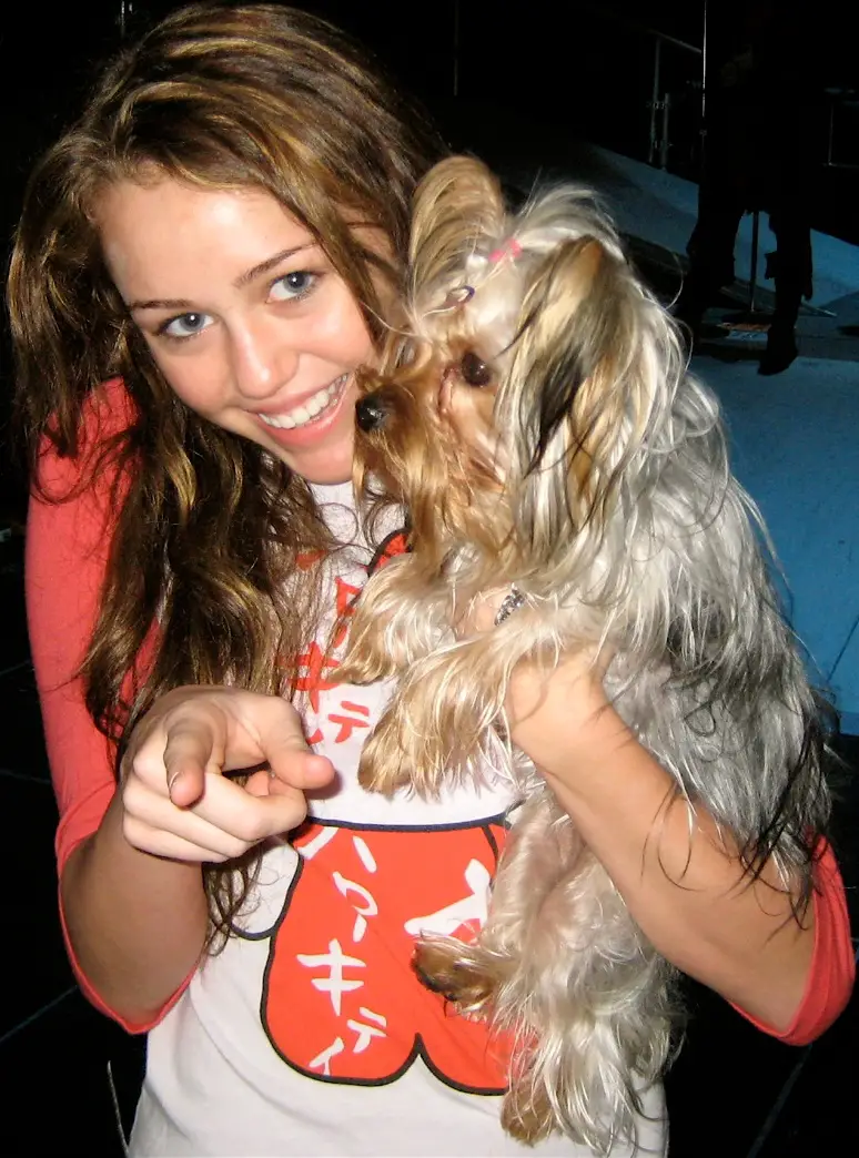 Miley Cyrus carrying her Yorkie