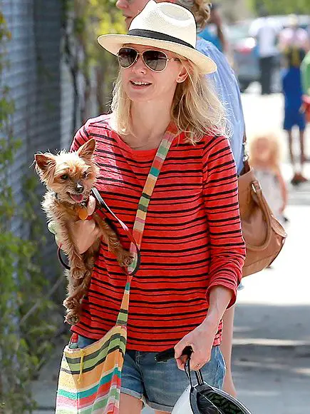 Naomi Watts with a Yorkie in her arm