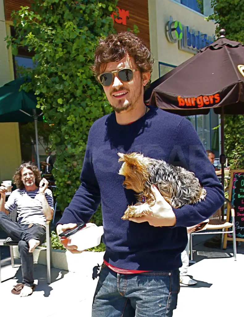 Orlando Bloom carrying his Yorkie in his arm