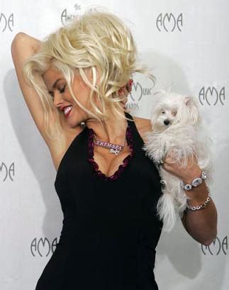 Anna Nicole Smith making a pose while holding her Maltese named Marilyn.