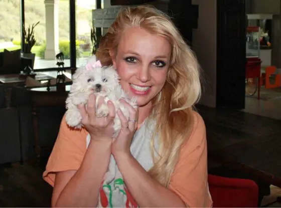 Britney Spears holding her Maltese puppy next to her face.