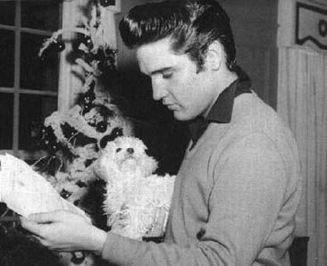 Elvis Presley reading a paper while holding his Maltese named Foxhugh.
