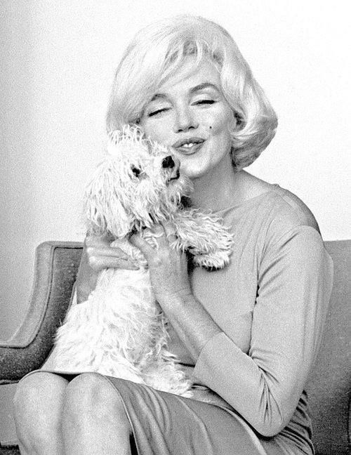 Marilyn Monroe sitting on the couch while hugging her Maltese named Mafia Honey.