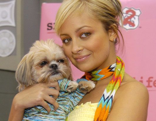 Nicole Richie smiling to the camera while hugging her Shih Tzu
