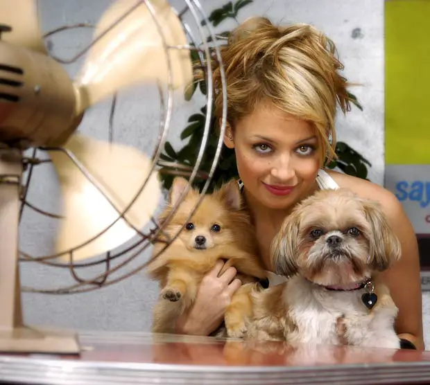 Nicole Richie sitting across the table with her Pomeranian and Shih tzu in her lap