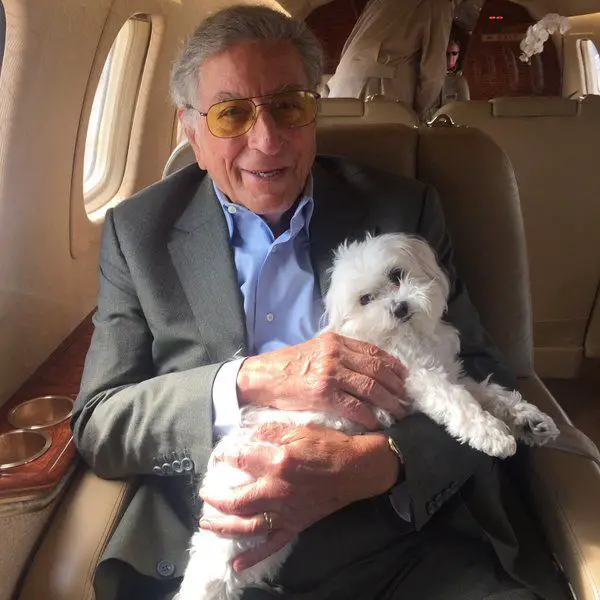 Tony Bennett sitting inside the airplane with his Maltese.