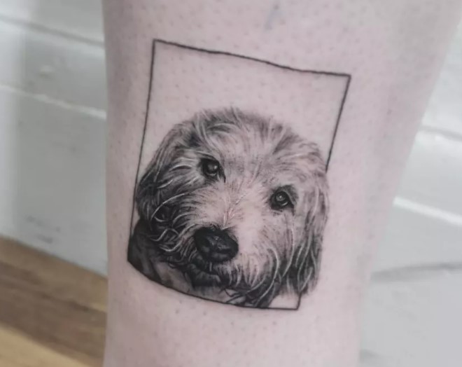 3D Labradoodle inside a square line tattoo on thigh