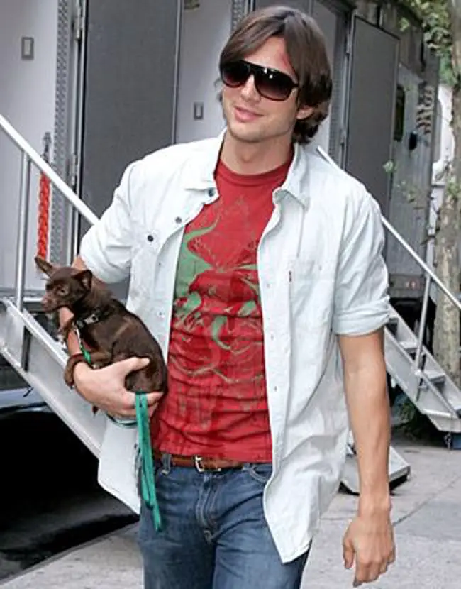 Ashton Kutcher walking in the street while holding his Chihuahua