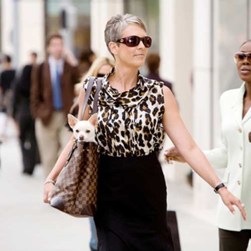 Jamie Lee Curtis walking in the street with her Chihuahua in her bag
