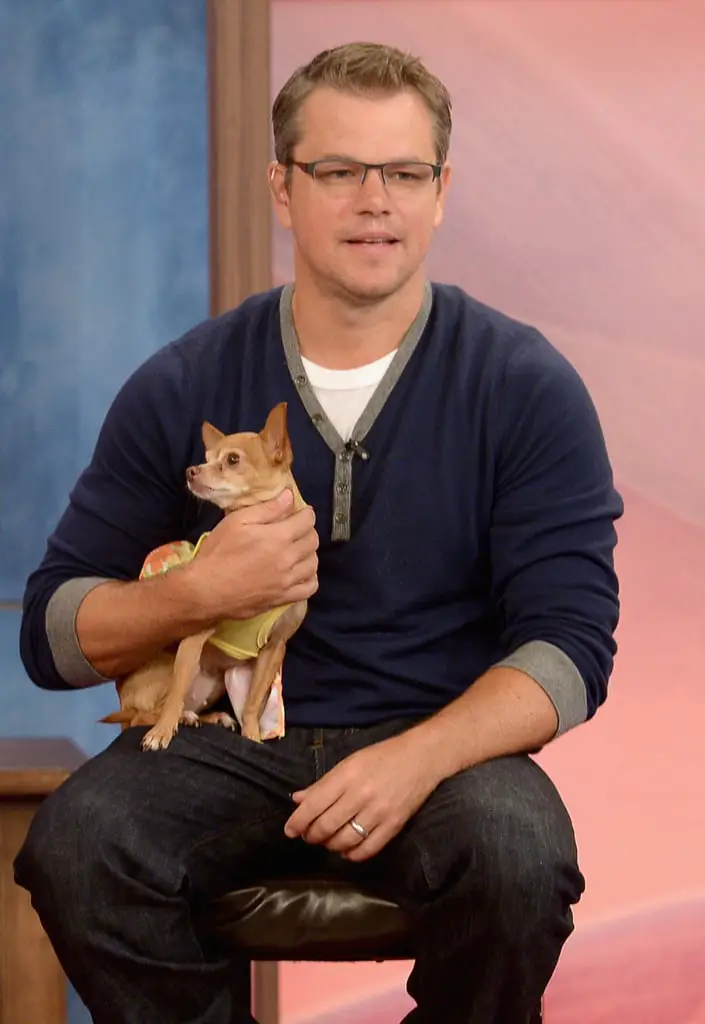 Matt Damon with his Chihuahua in his lap