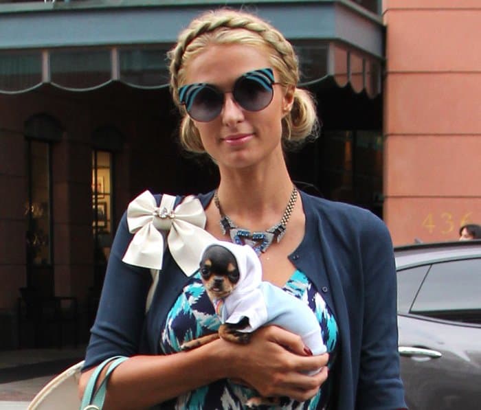 Paris Hilton in the street holding her Chihuahua