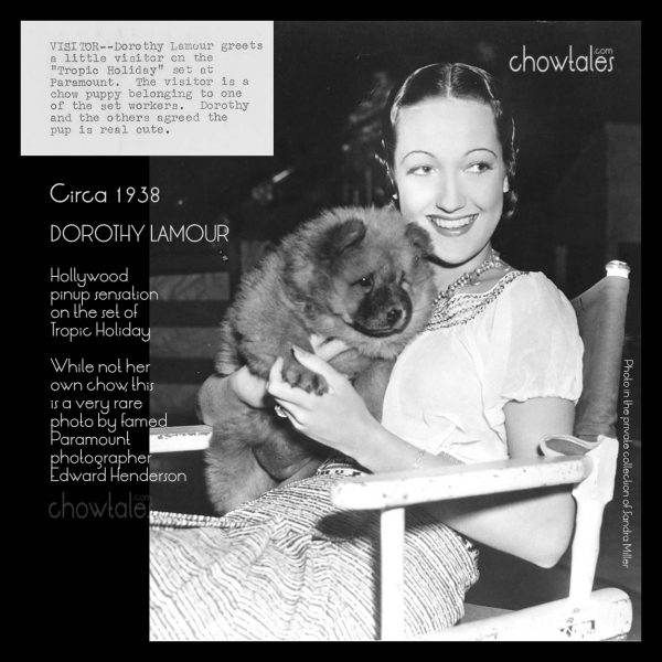 Dorothy Lamour sitting on the chair with her chowchow on her lap