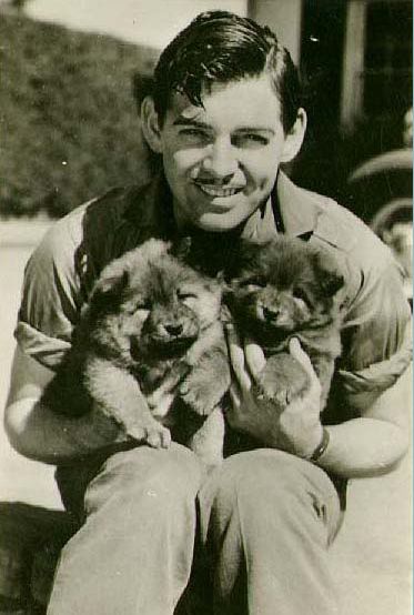 Clark Gable sitting on the pavement while carrying his two Chow Chow puppies