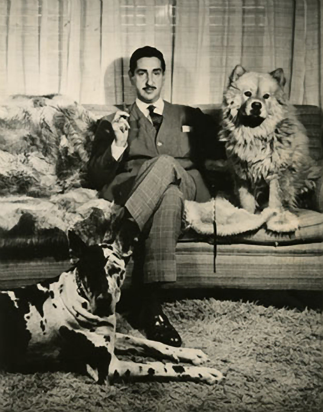 King Zog of Albania sitting on the couch with hi Chowchow and Great Dane on the floor
