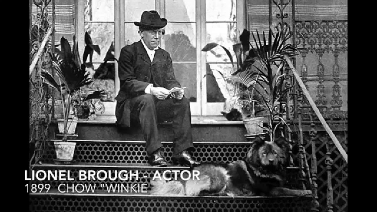 LIONEL BROUGH sitting in the stairway front doors with his Chow Chow
