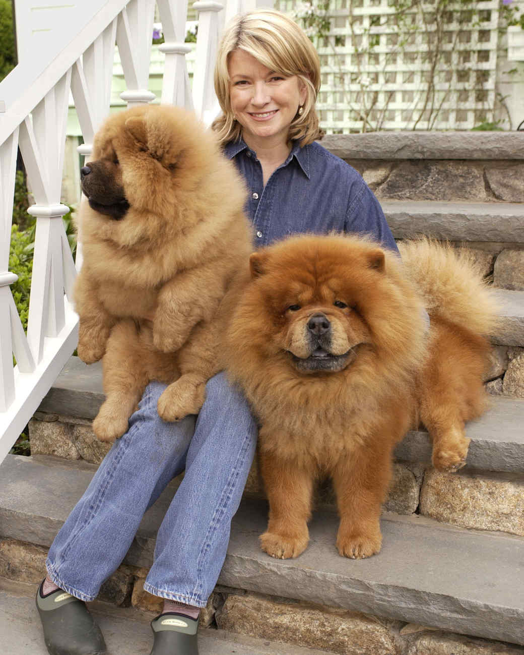 Martha Stewart sitting in the stairway with her two Chowchows