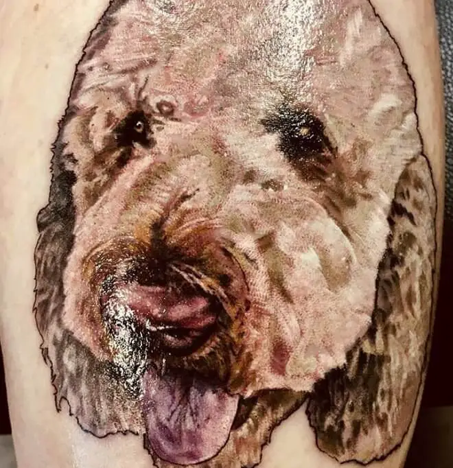 artistic face of a Goldendoodle tattoo on the thigh
