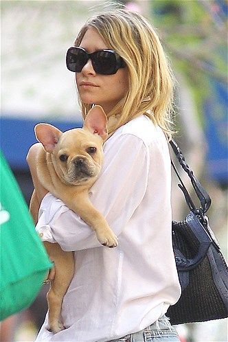 Ashley Olsen holding her French Bulldog