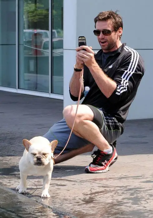 Hugh Jackman kneeling on the pavement and taking a photo while his French Bulldog standing in front of him