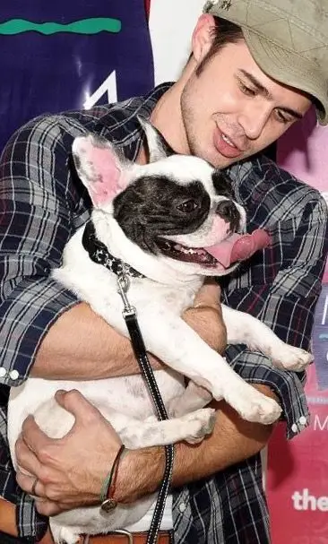 Kris Allen holding and looking down on his French Bulldog