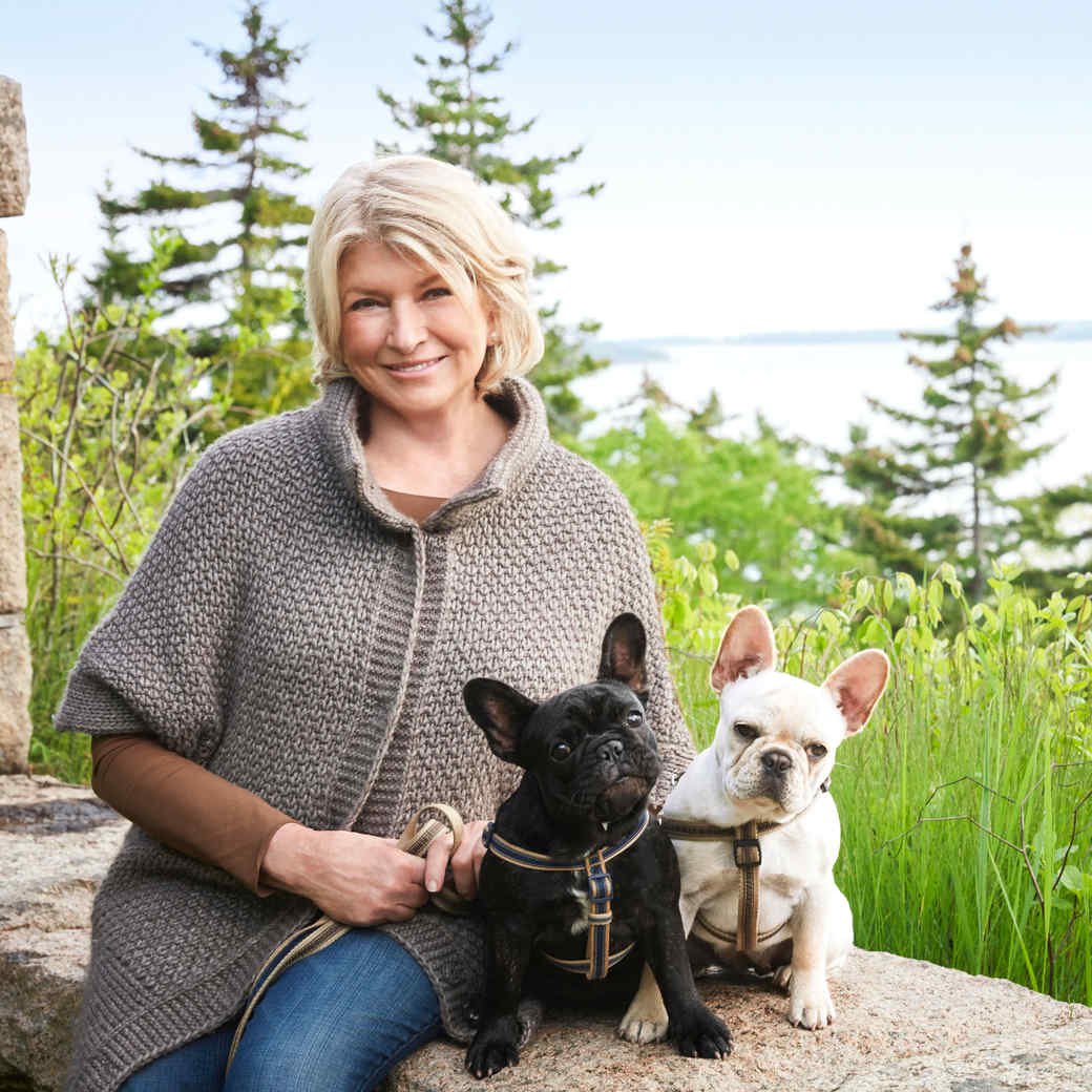Martha Stewart sitting on the concrete bench with her two French Bulldogs sitting next to her
