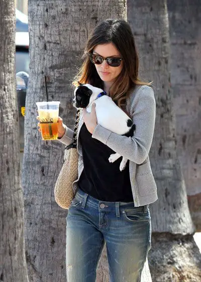 Rachel Bilson walking while carrying an iced coffee and her French Bulldog puppy
