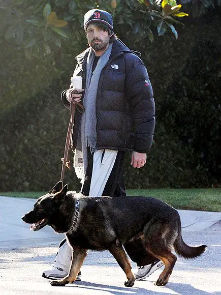 Ben Affleck walking outdoors with his German Shepherd