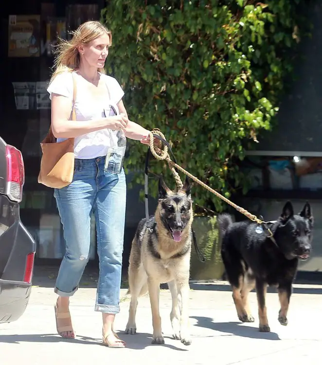 Cameron Diaz walking in the street with her two German Shepherds
